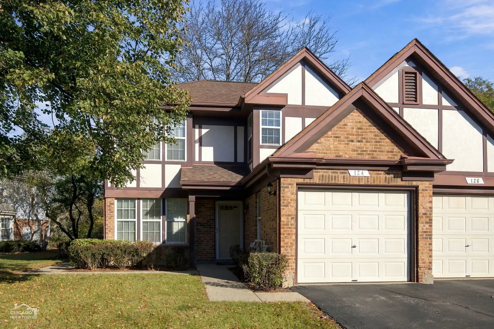 124 White Branch Court IL