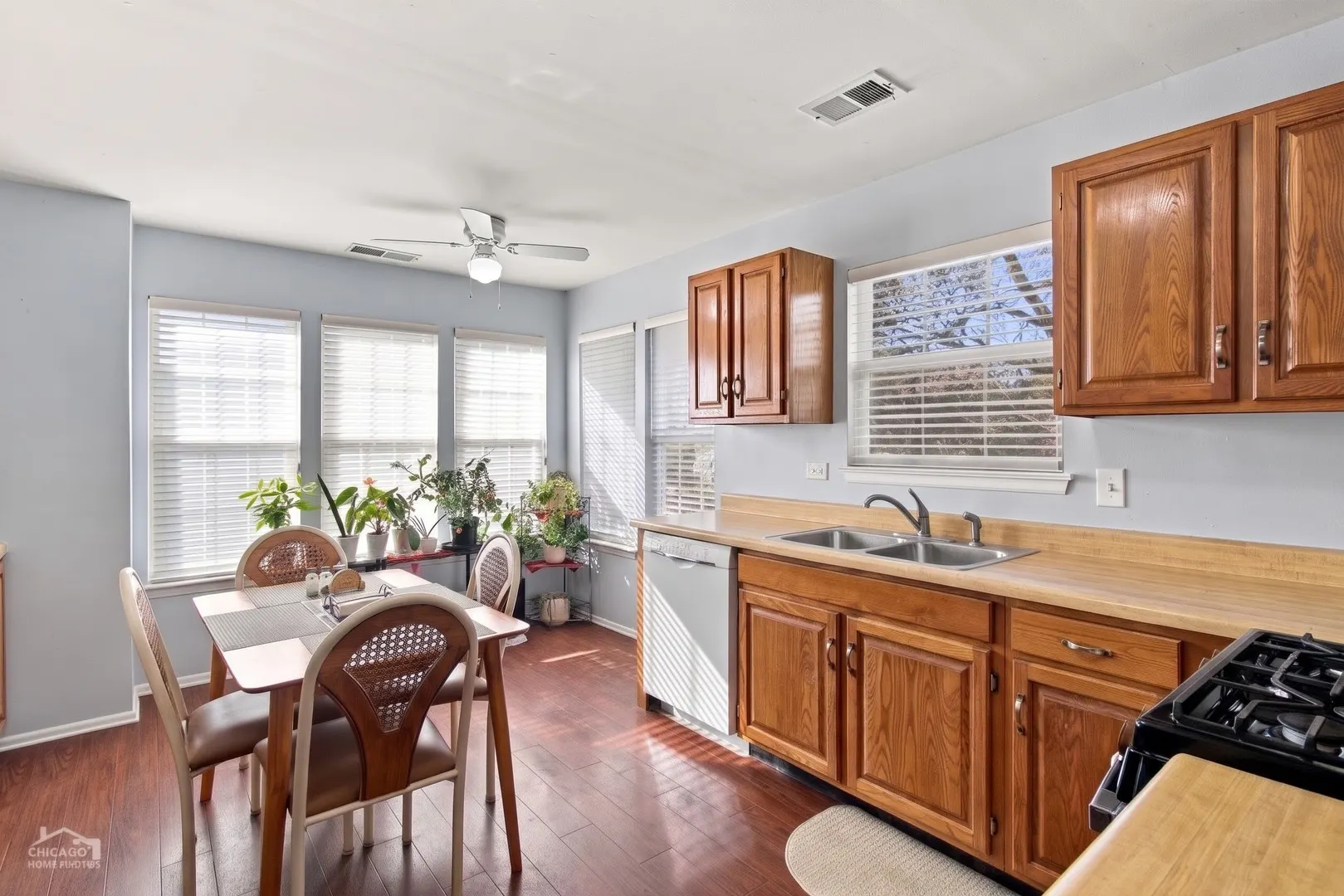 124 White Branch Court IL