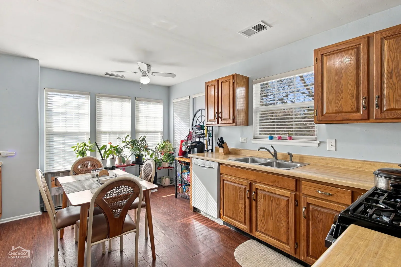 124 White Branch Court IL