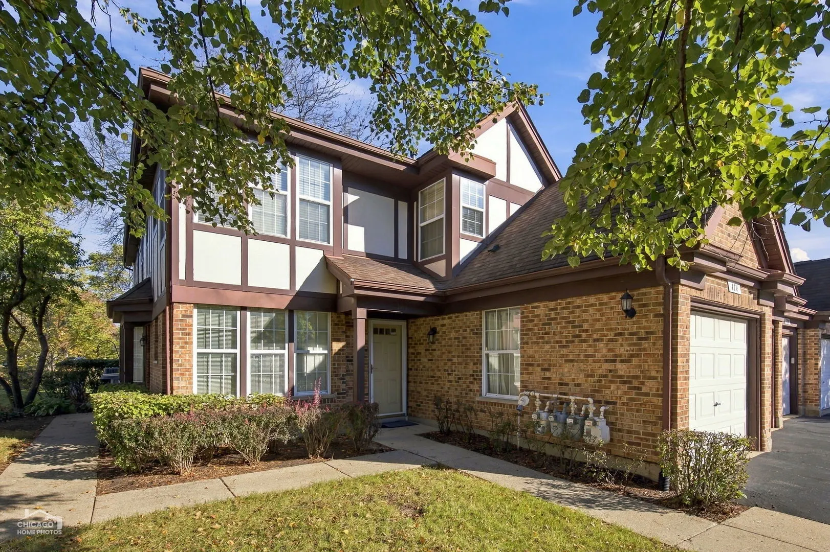 124 White Branch Court IL