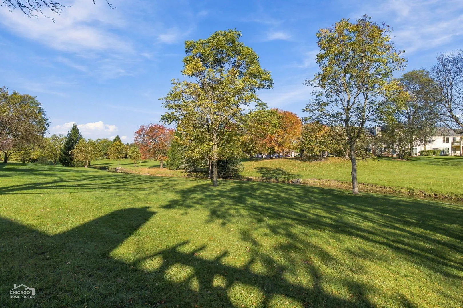 124 White Branch Court IL