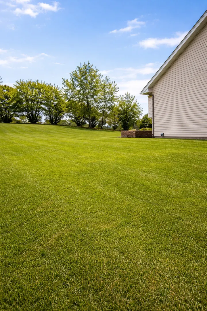 516 N Thornwood Drive IL
