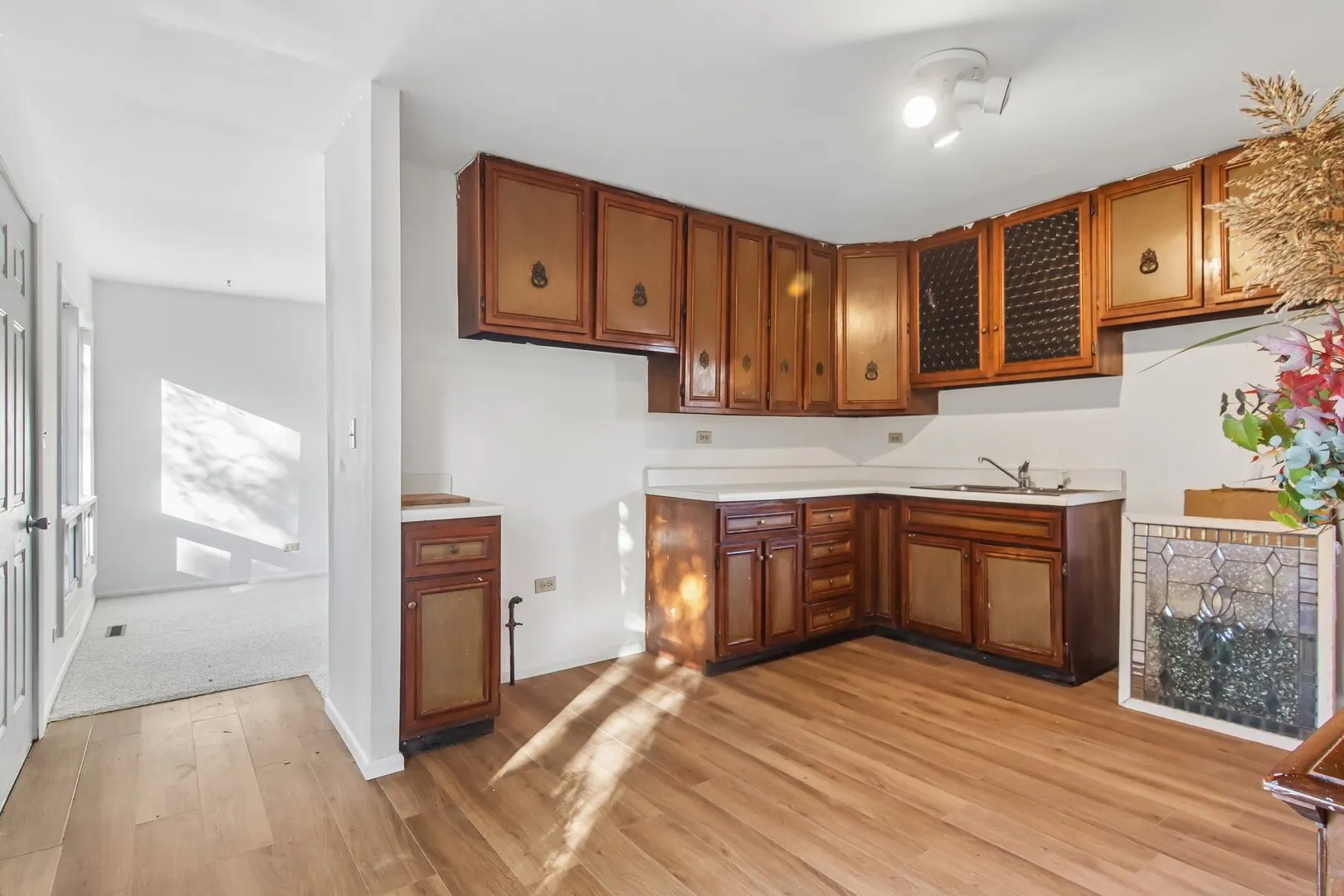207 N Prospect Drive IL