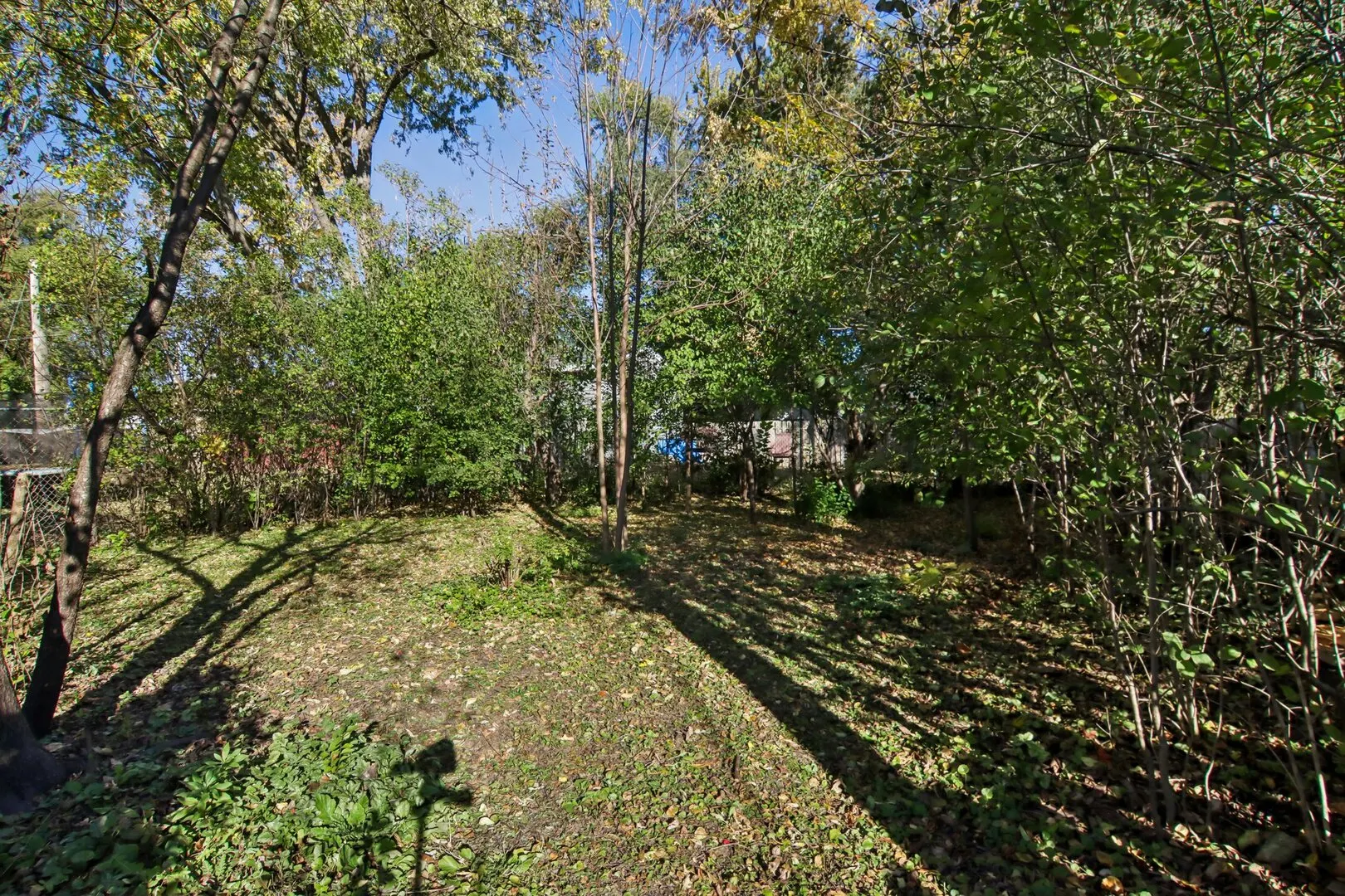 207 N Prospect Drive IL