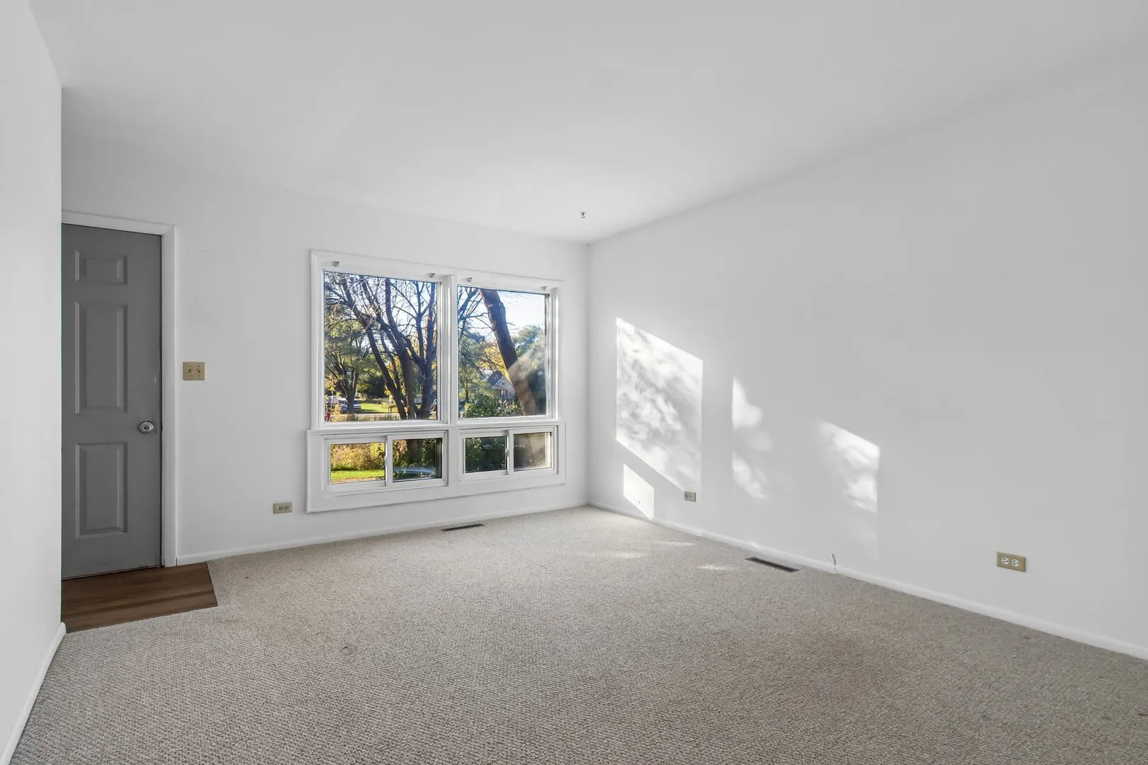 207 N Prospect Drive IL