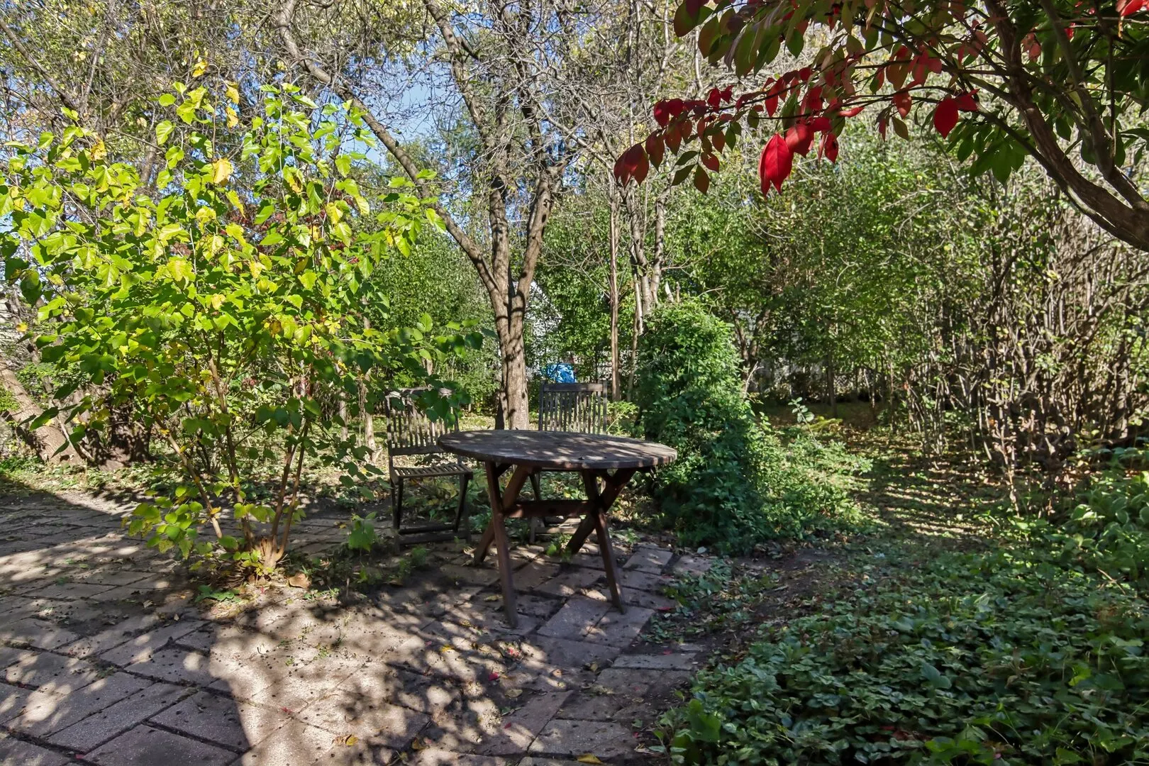 207 N Prospect Drive IL