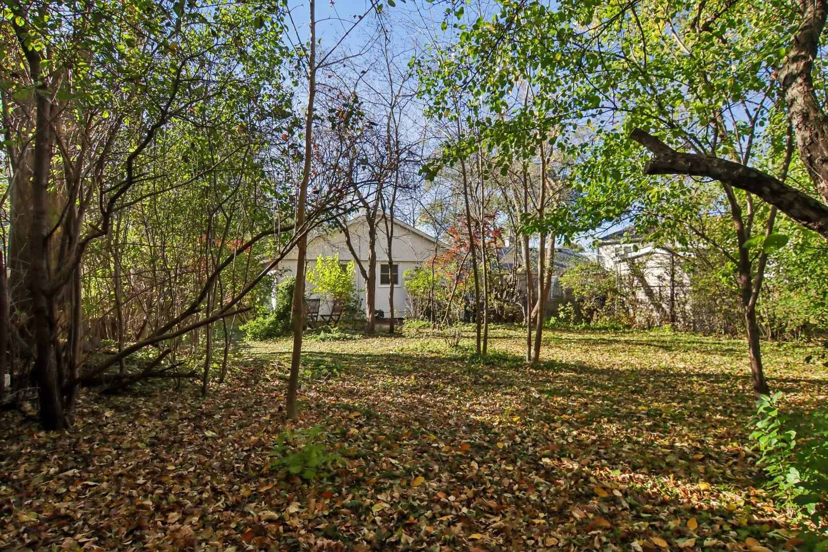 207 N Prospect Drive IL