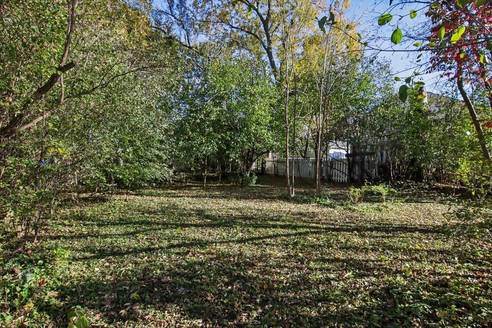 207 N Prospect Drive IL