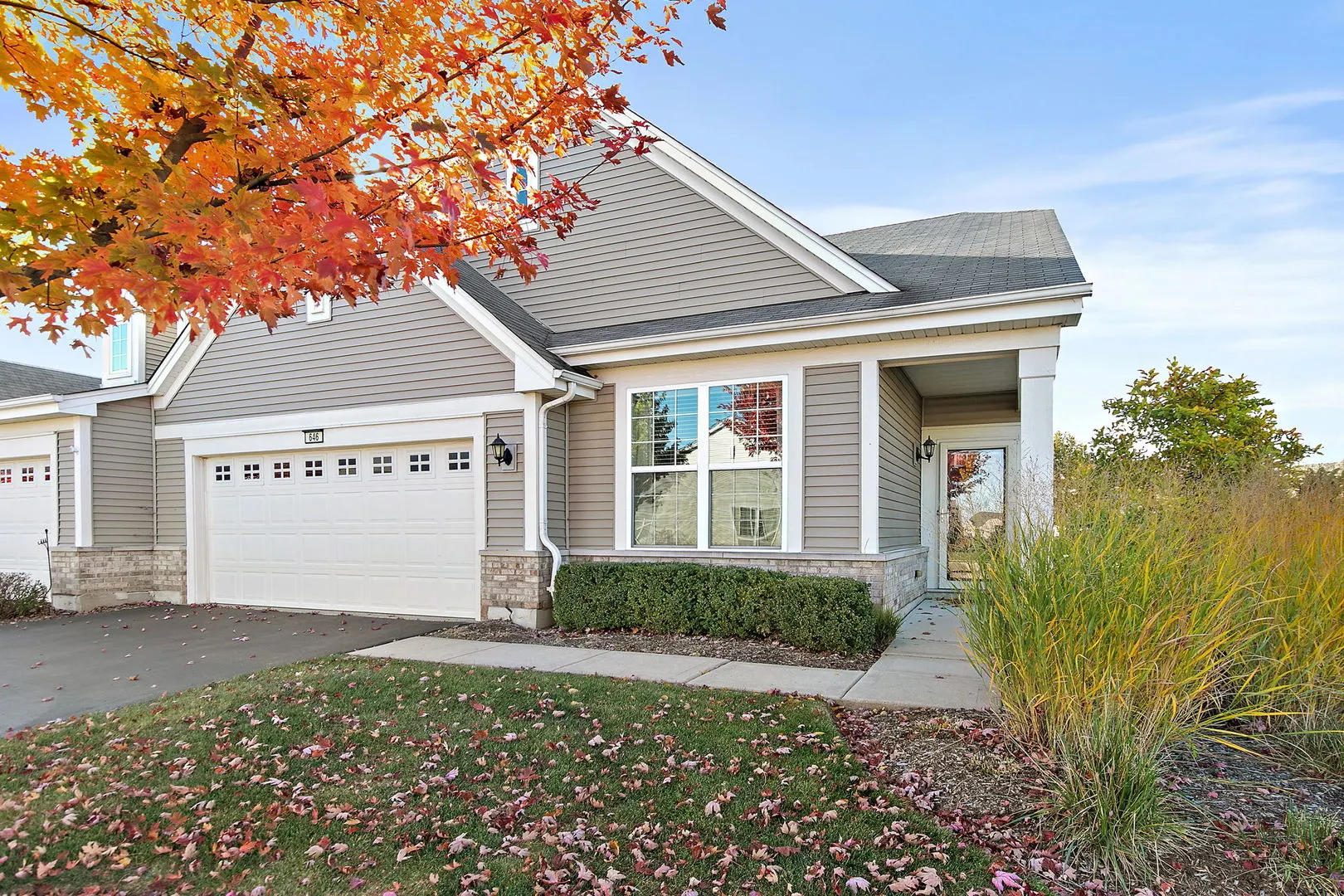 646 N Falls Circle IL