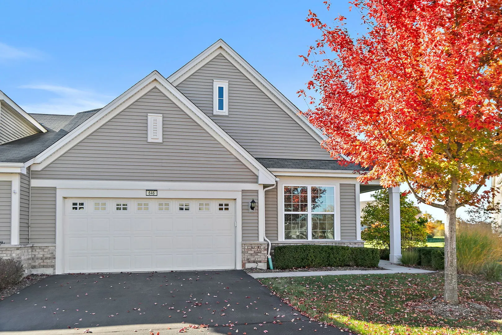 646 N Falls Circle IL