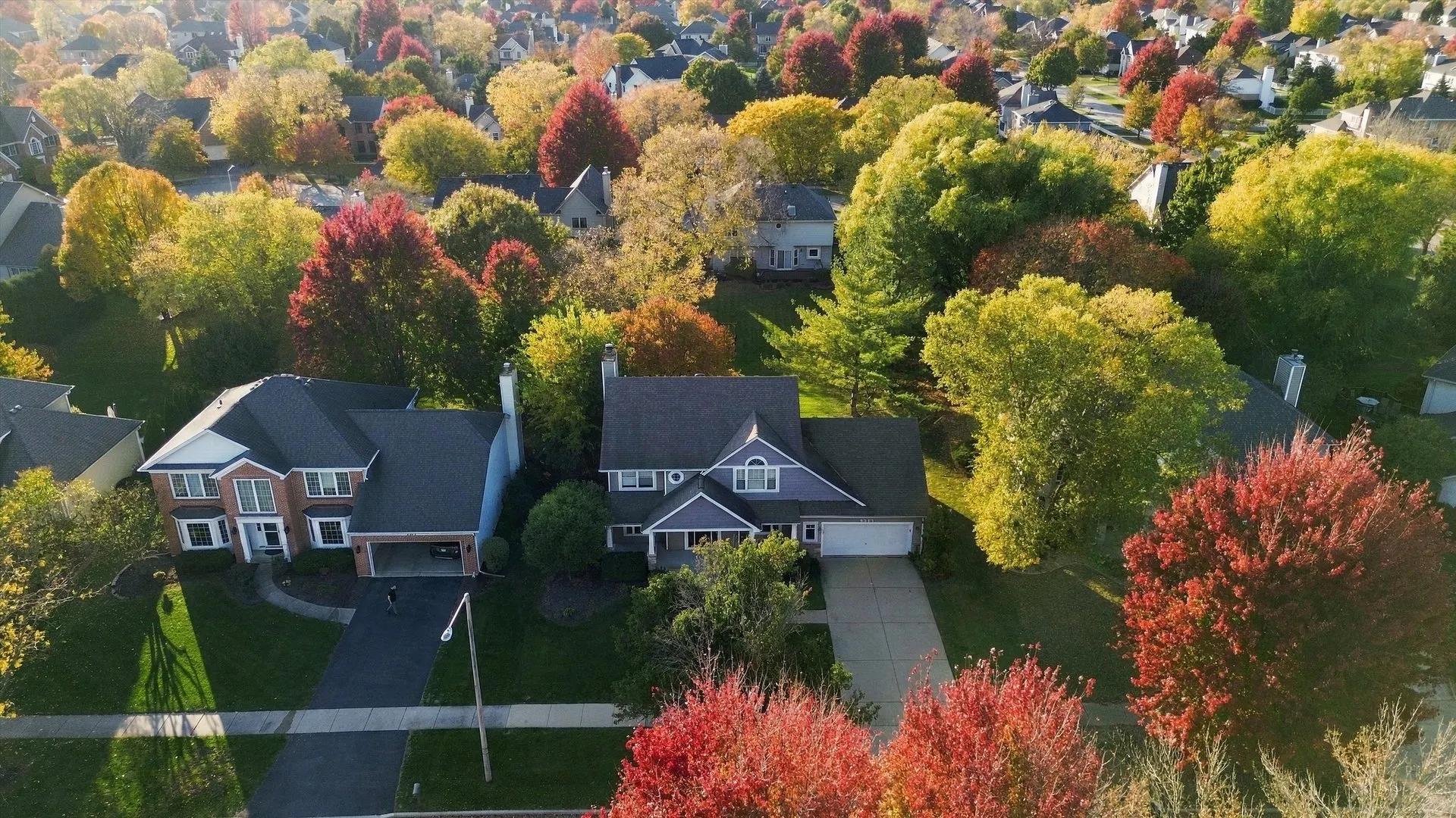5311 Switch Grass Lane IL