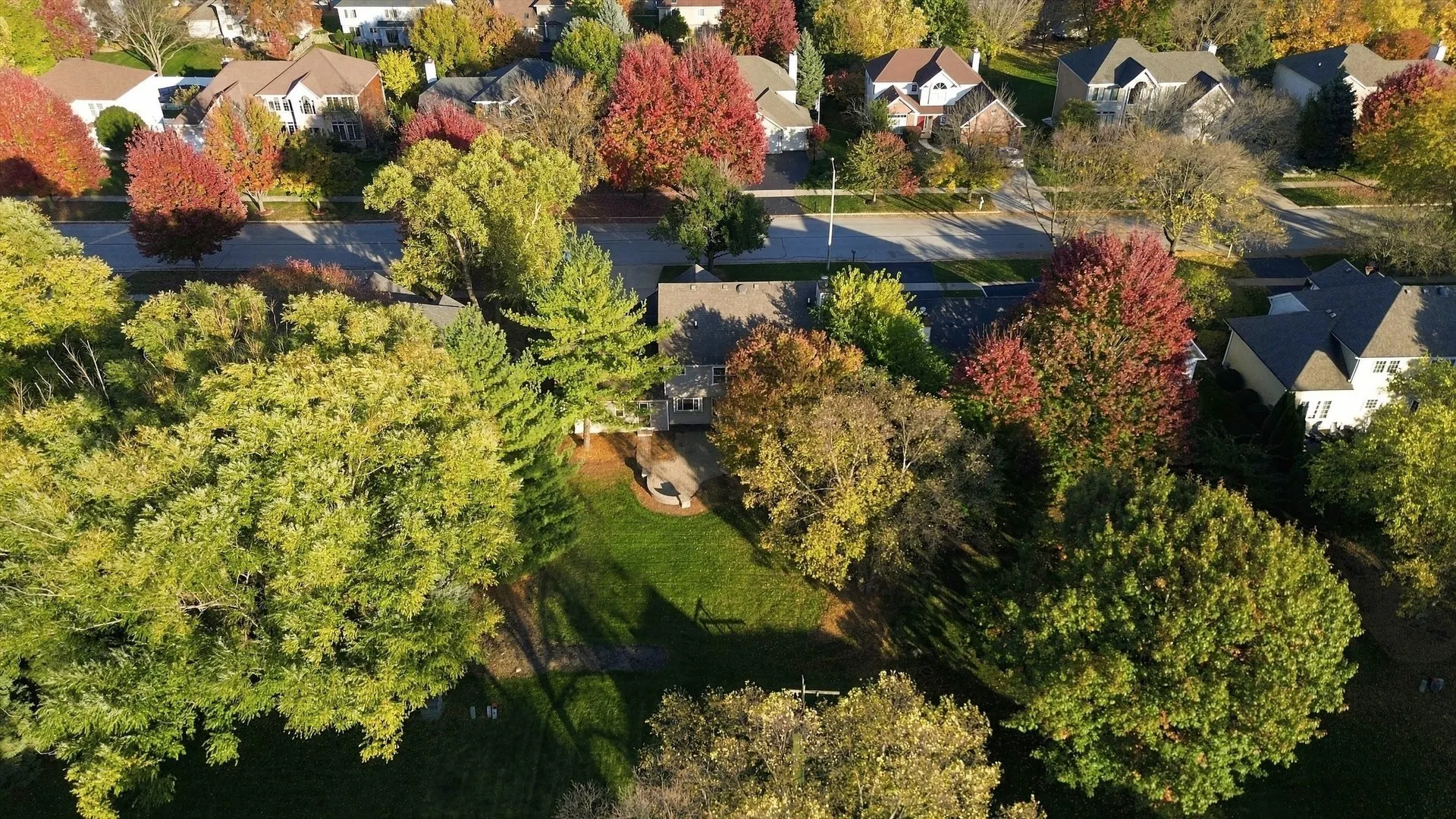 5311 Switch Grass Lane IL