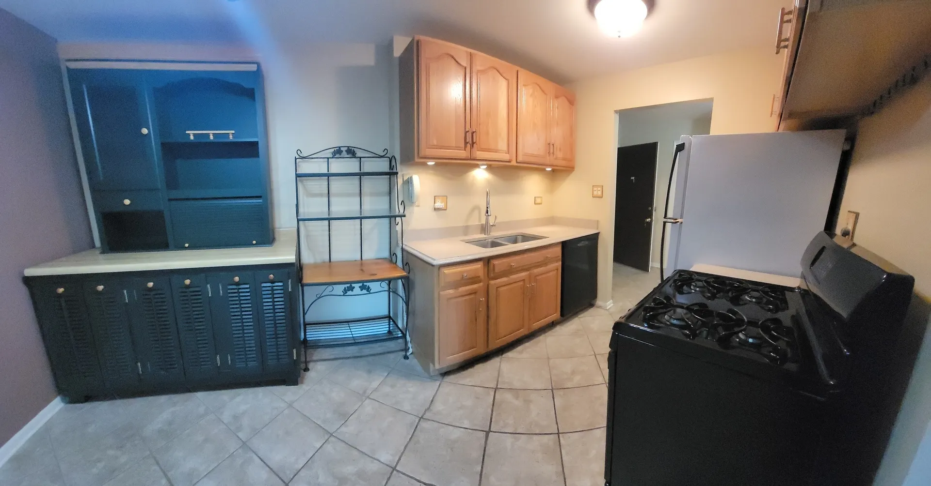 8970 N Parkside Avenue IL #113