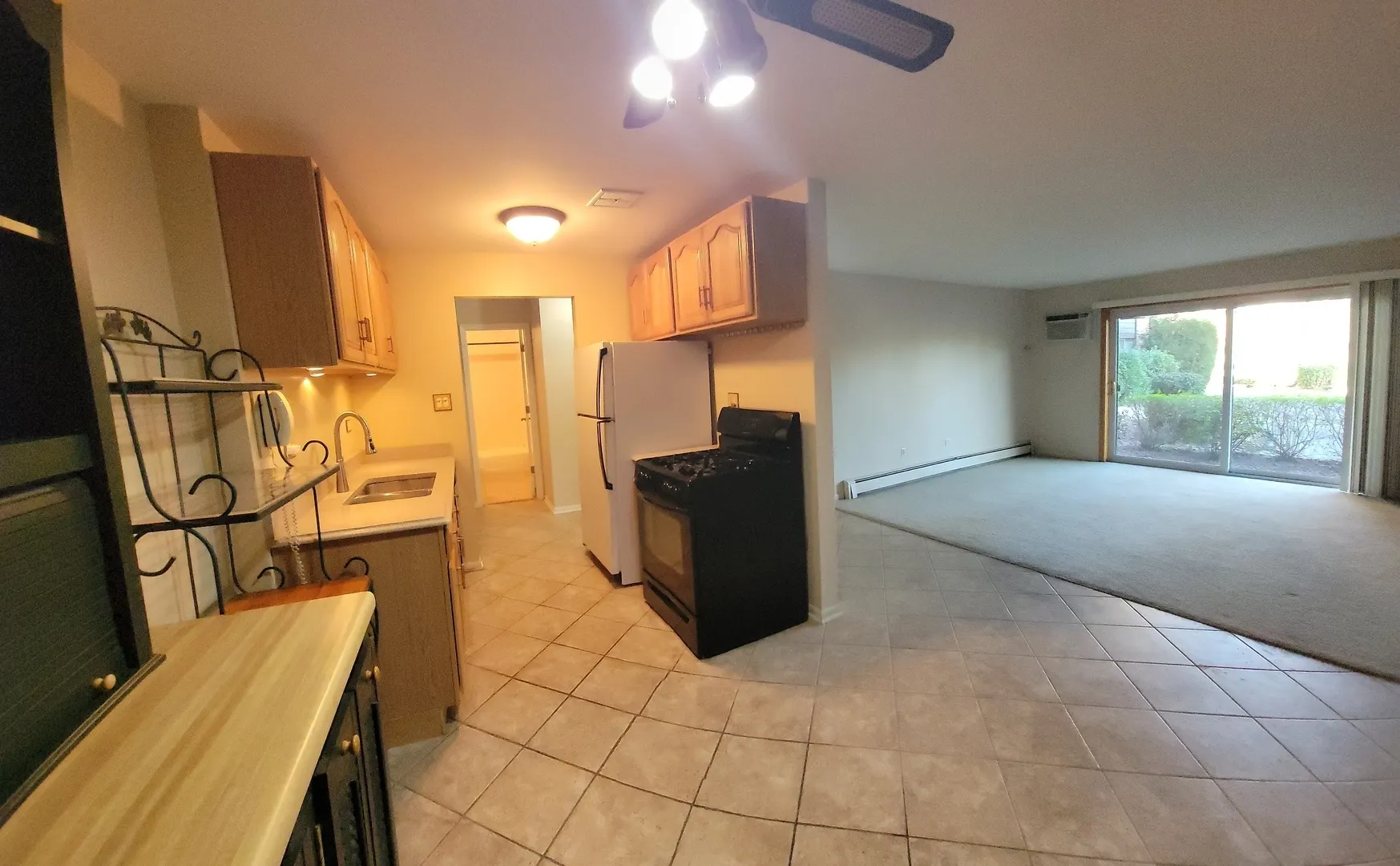 8970 N Parkside Avenue IL #113