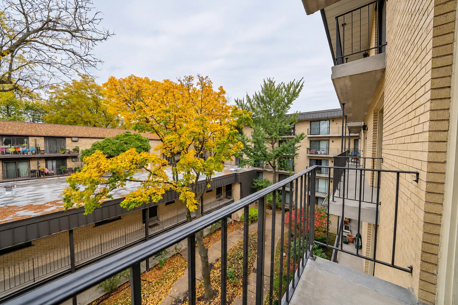6221 N NIAGARA Avenue IL #403