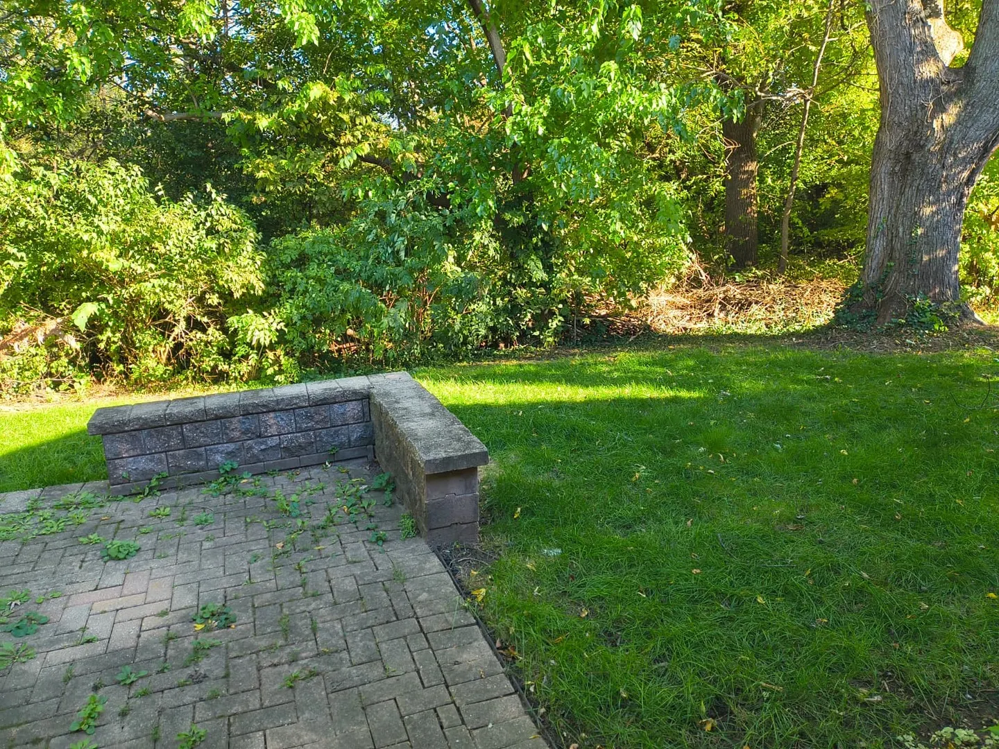 720 Woodhollow Lane IL