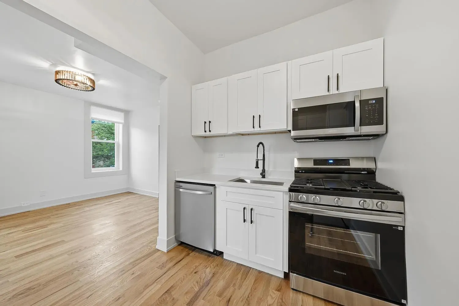 1514 W Fry Street IL #2