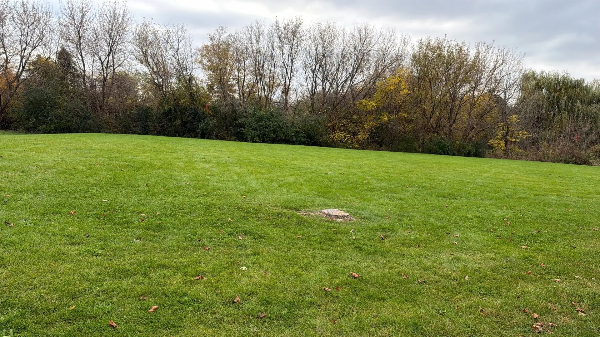 30w181 Dean Court IL