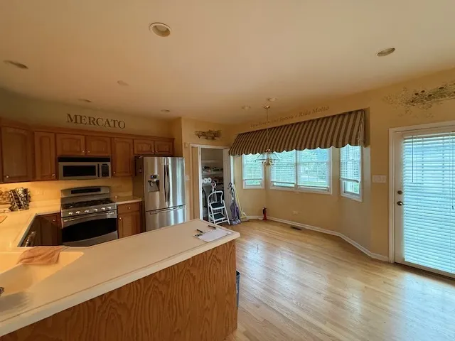 6407 Emerald Court IL