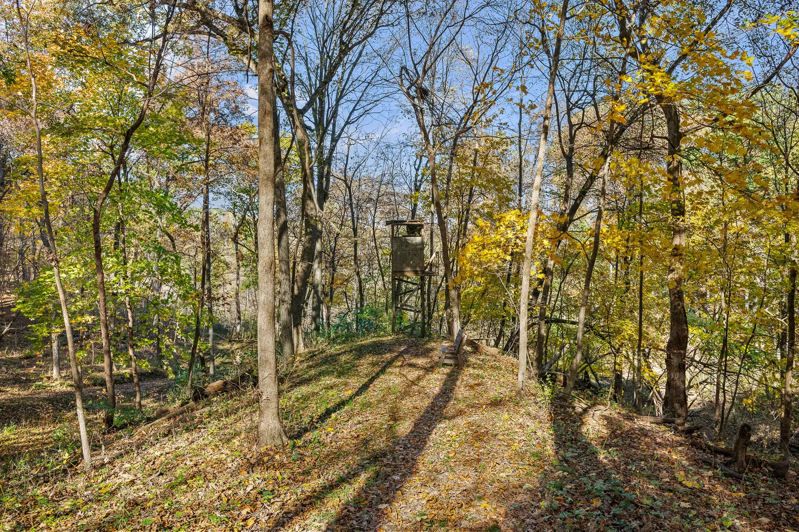 9910 207th Street W IL
