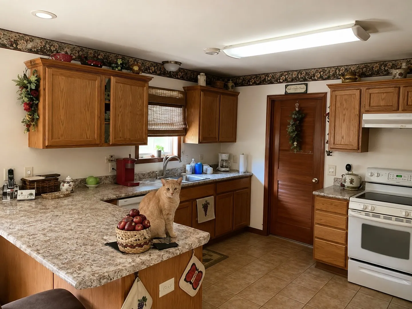 105 W Willow Street IL