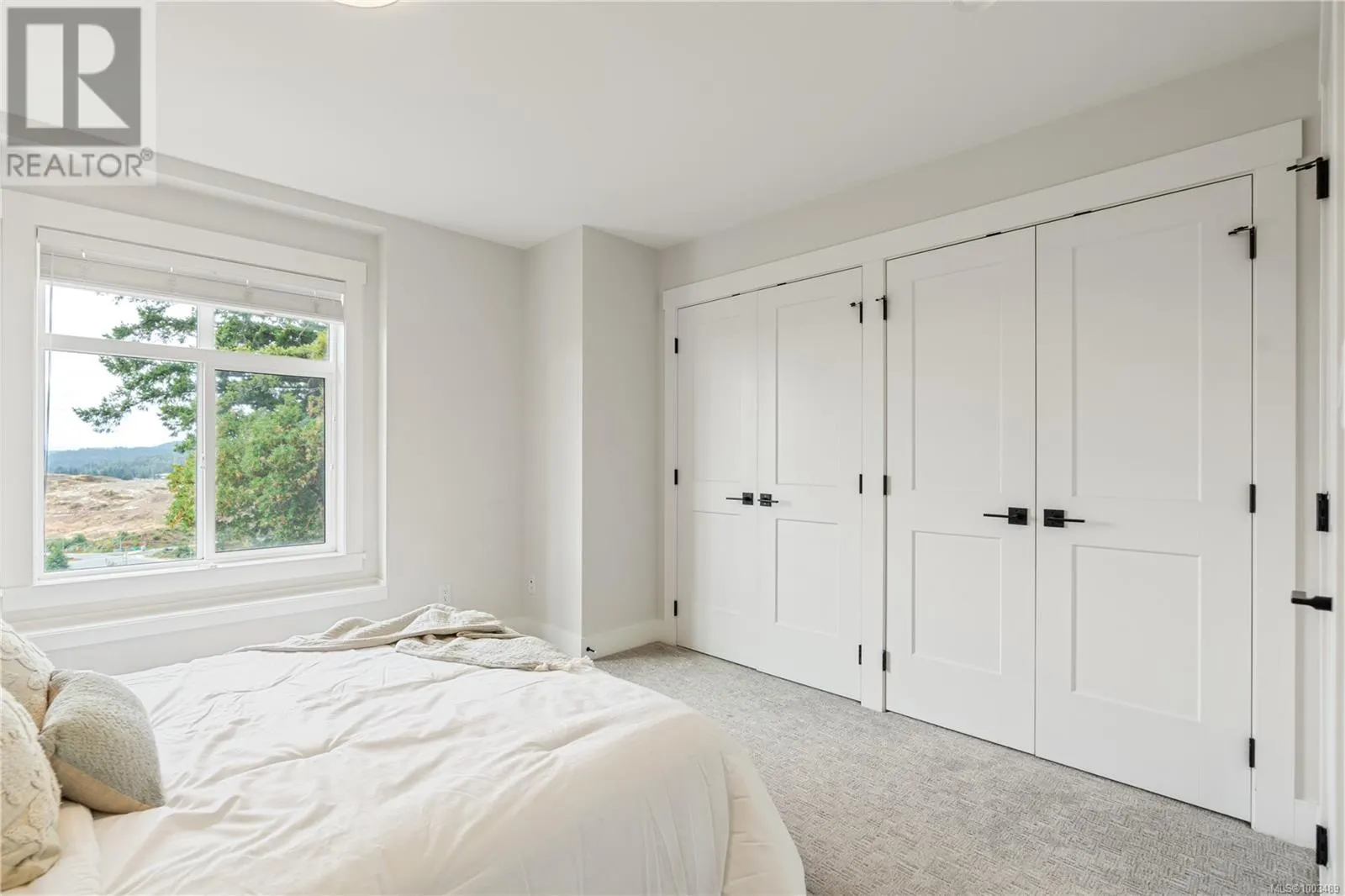1161 Moonstone Loop