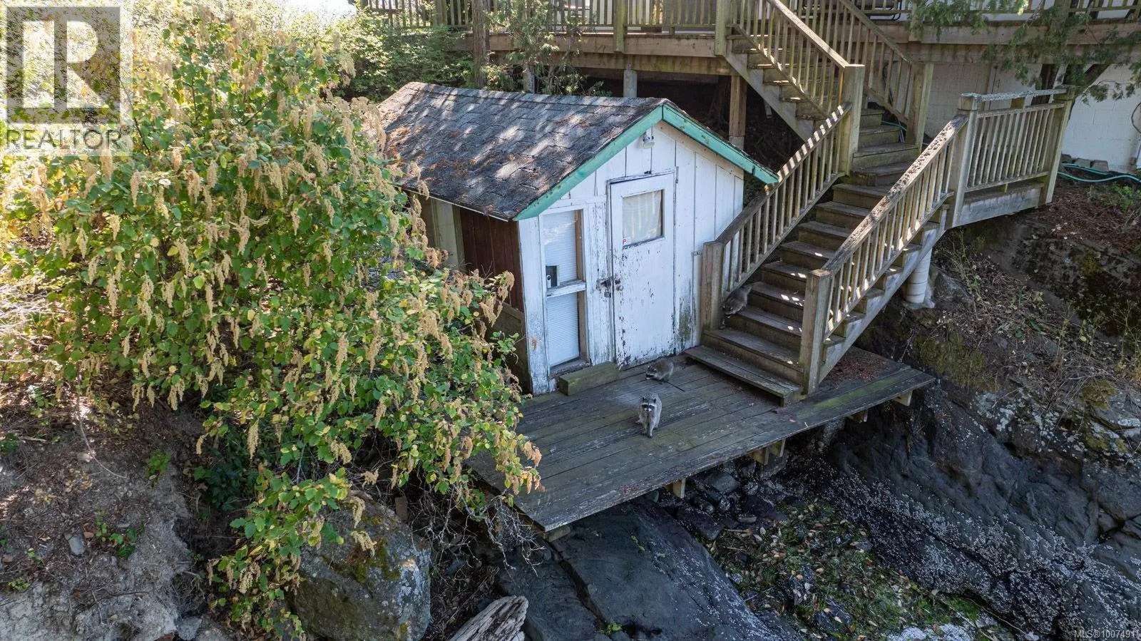273 Coal Point Lane