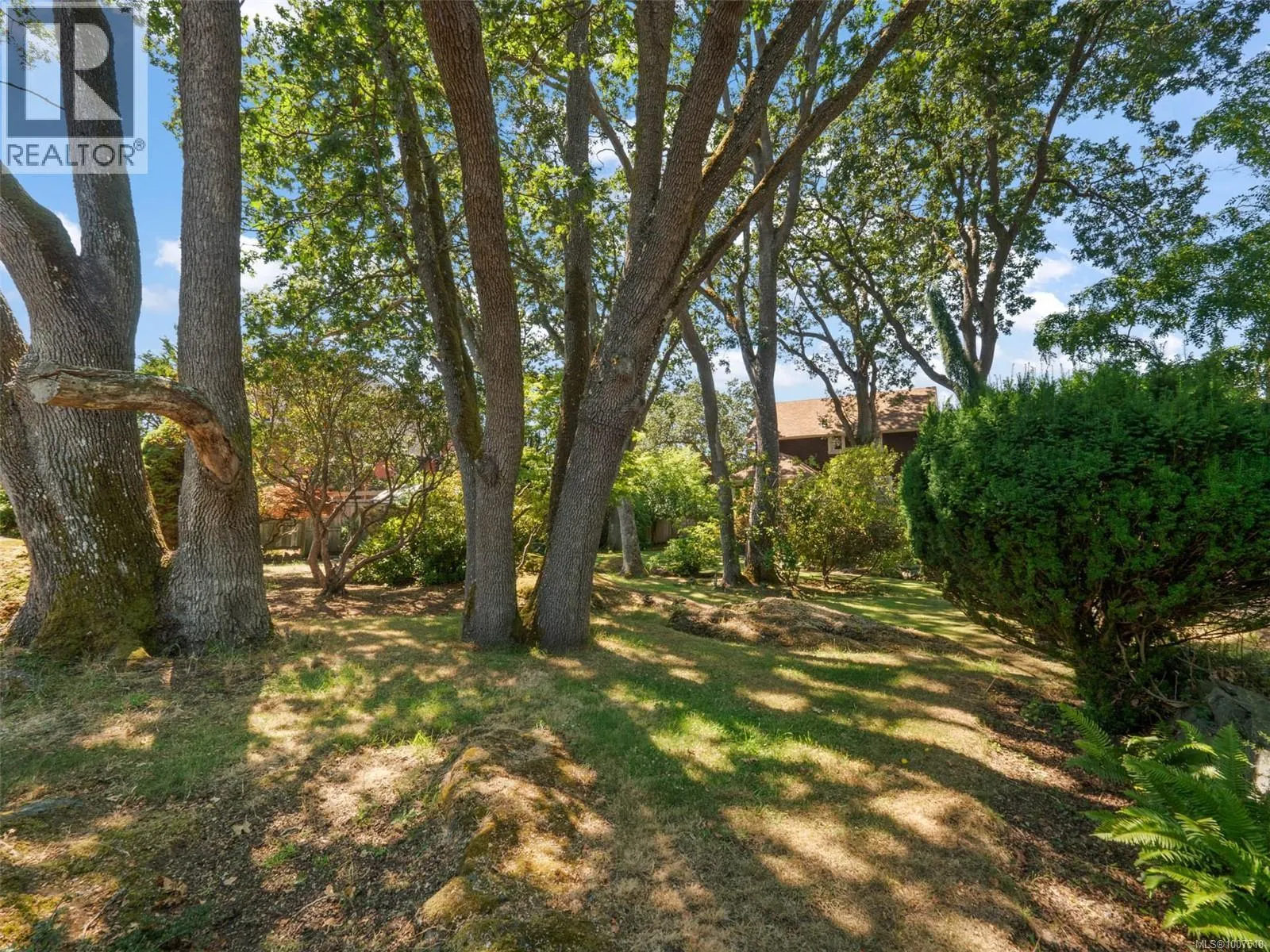 1353 Craigdarroch Rd