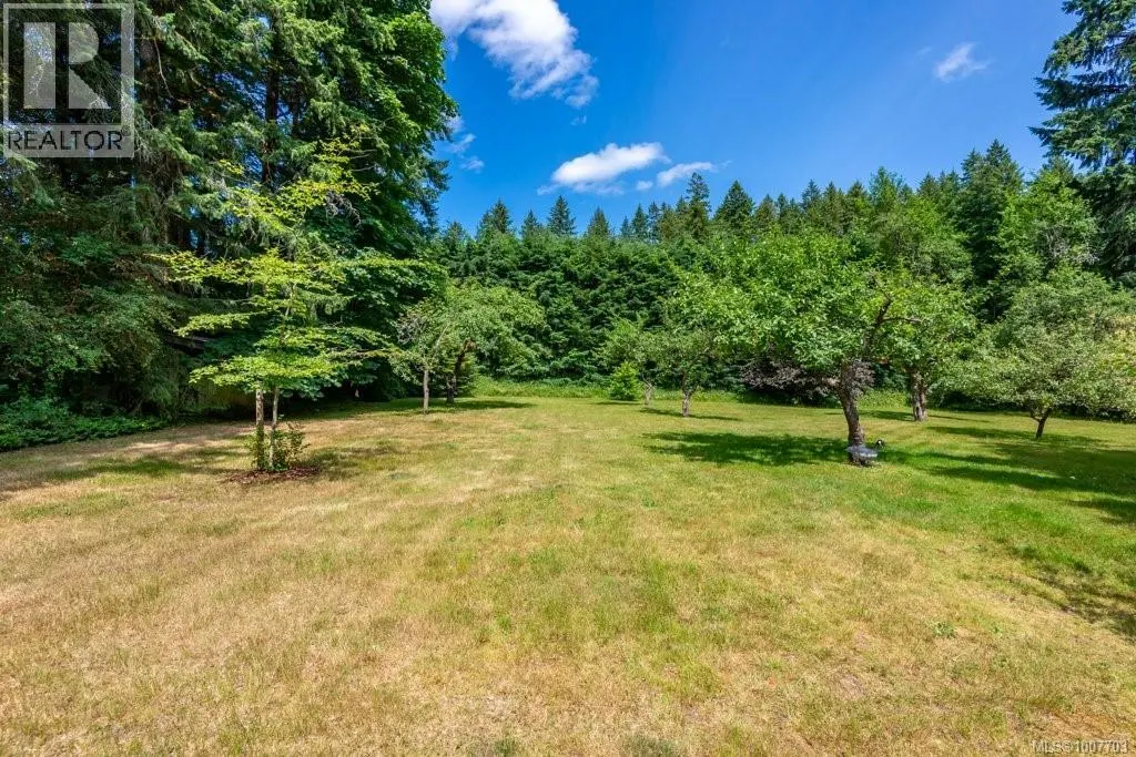 3951 Forbidden Plateau Rd