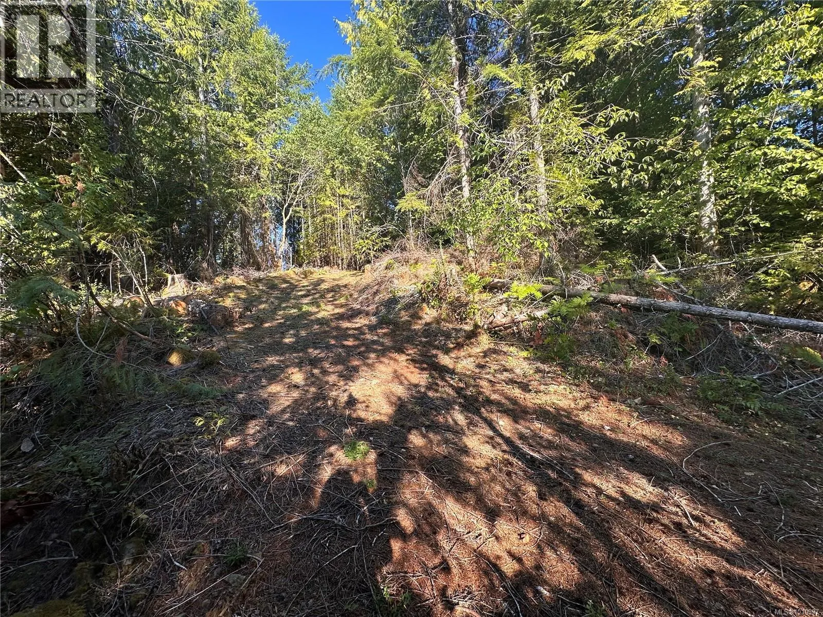 10114 Klitsa Dr