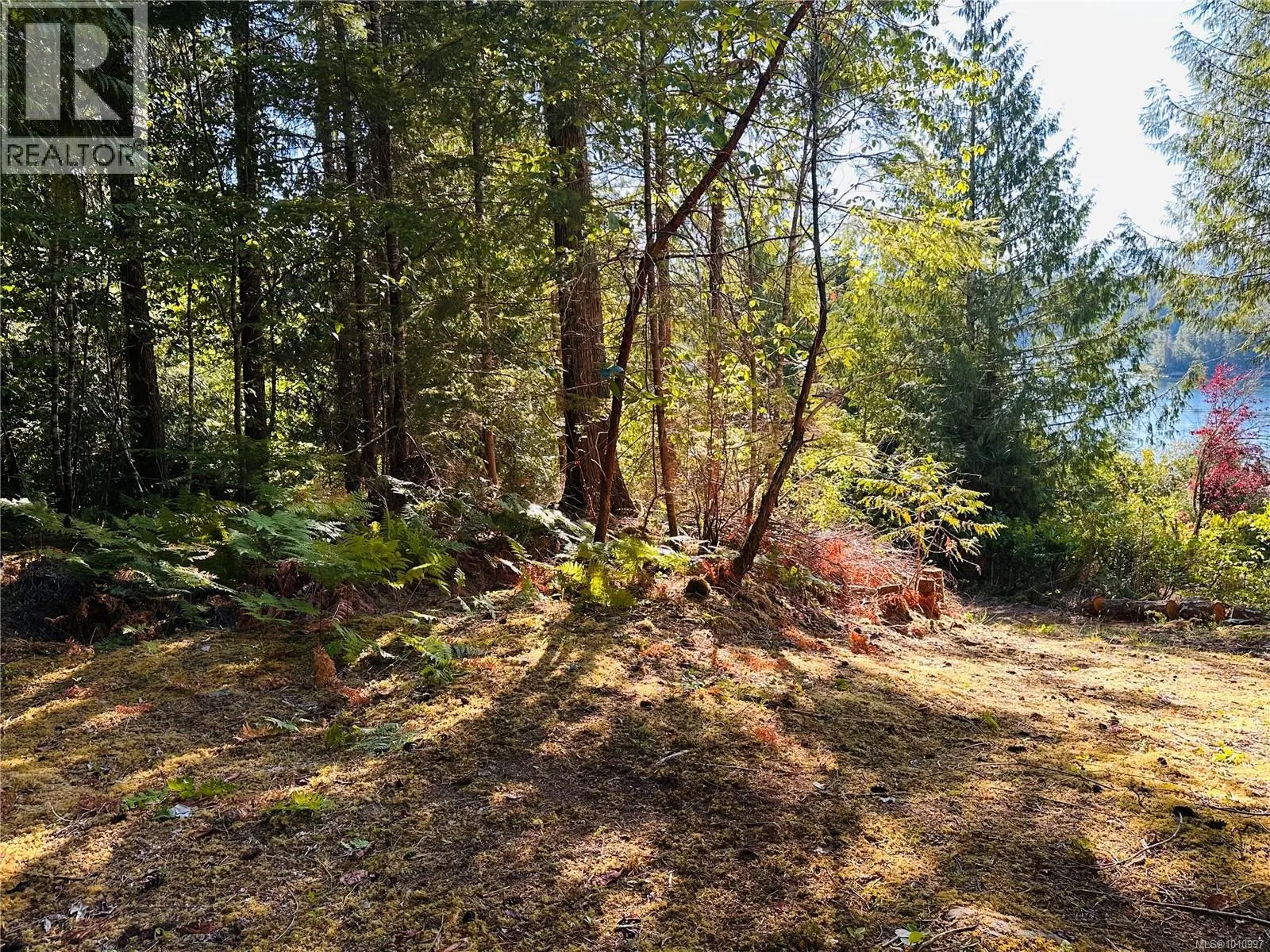 10114 Klitsa Dr