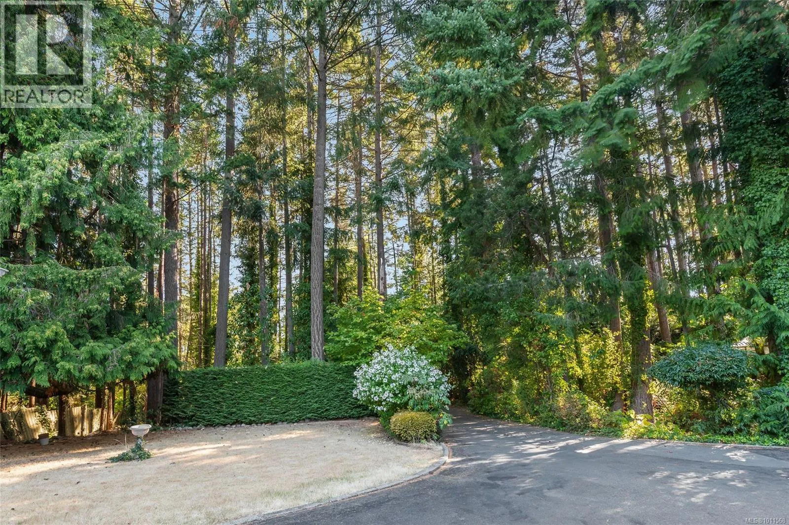 1419 Madrona Dr