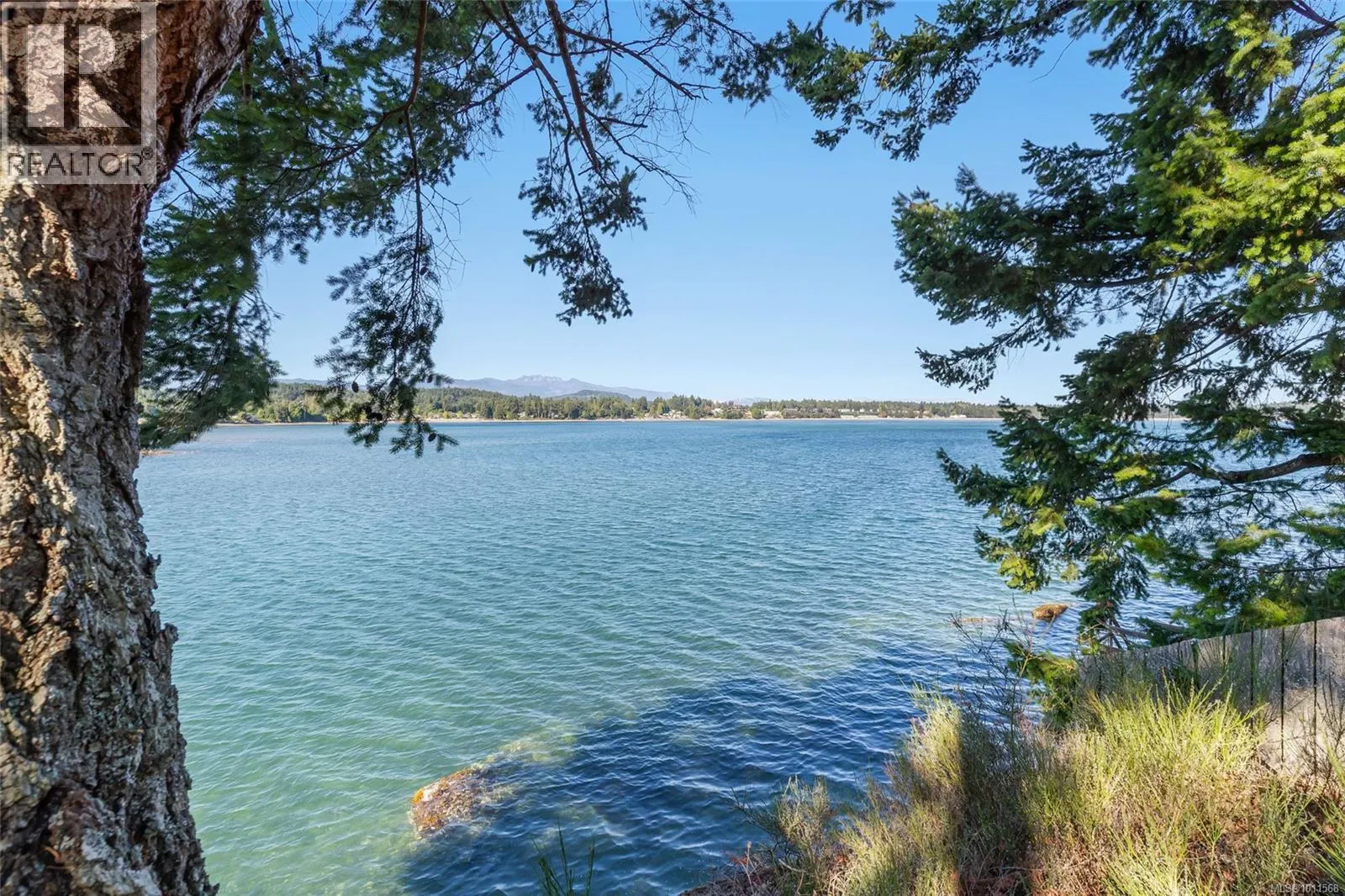 1419 Madrona Dr
