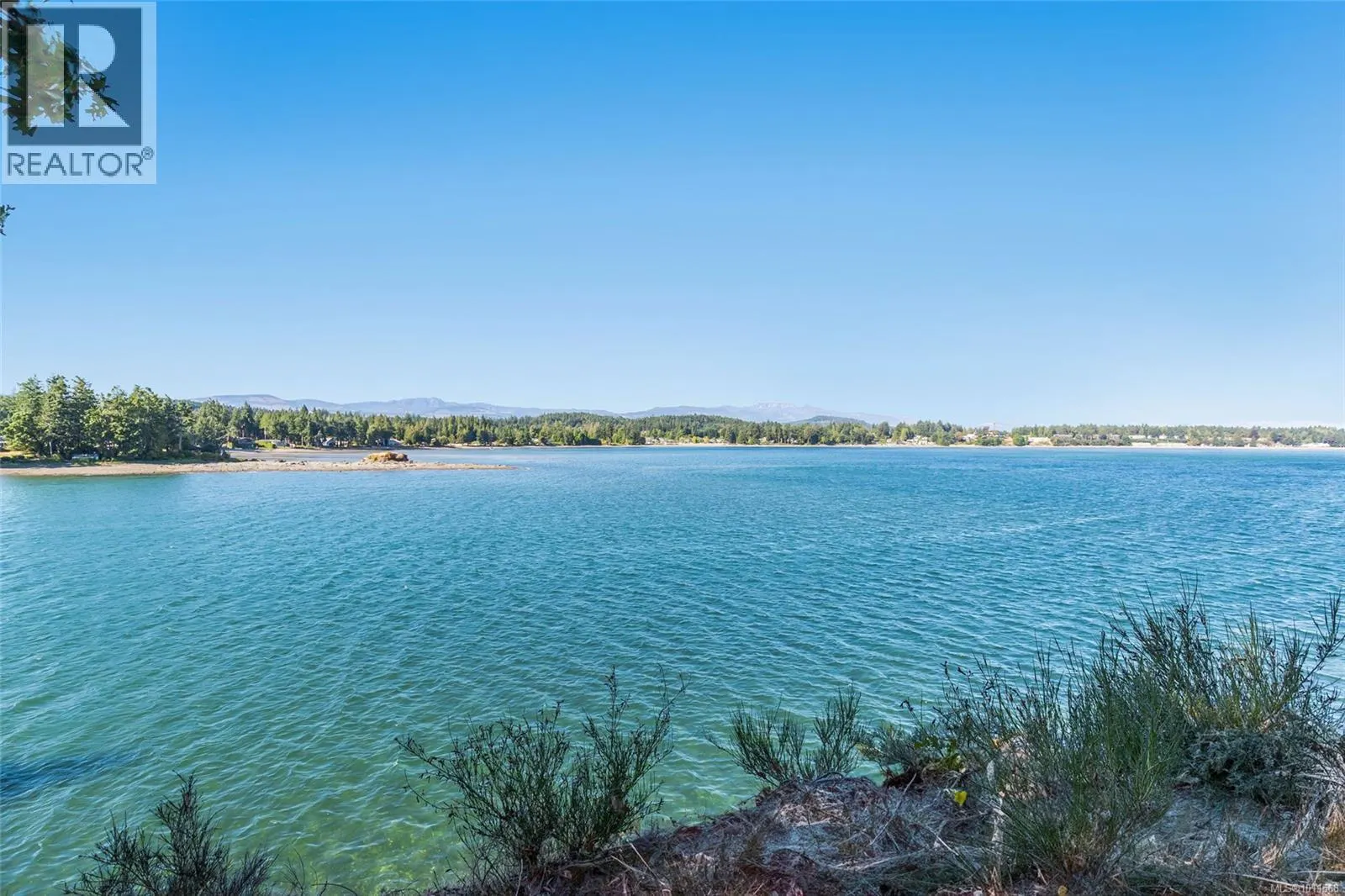 1419 Madrona Dr