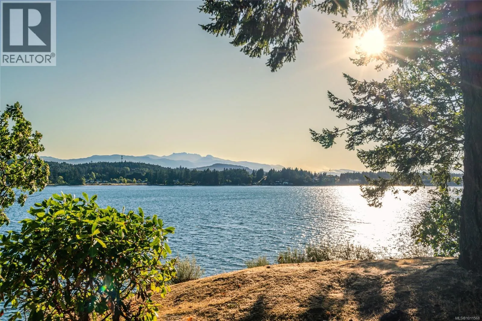 1419 Madrona Dr