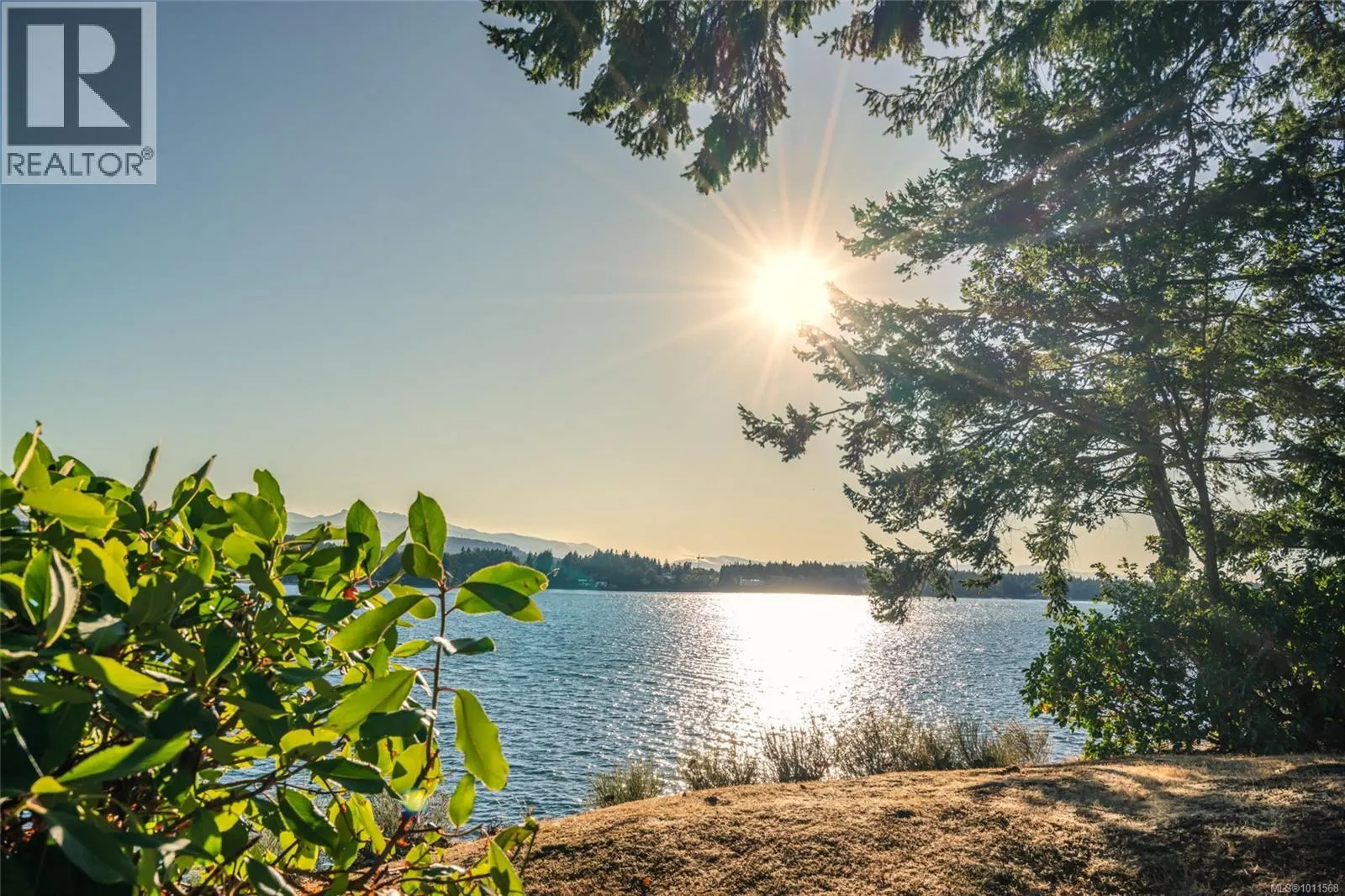 1419 Madrona Dr