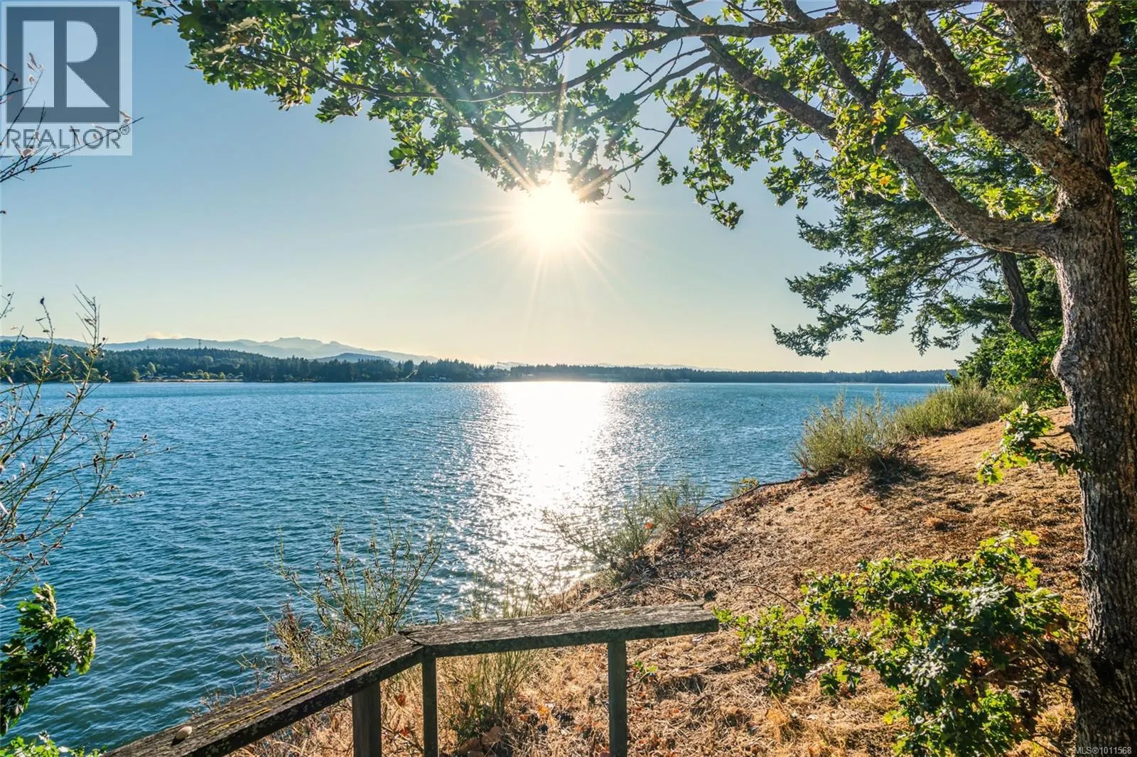 1419 Madrona Dr