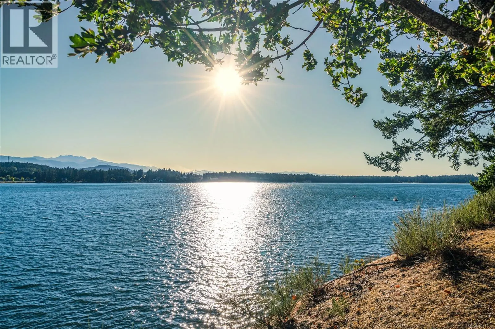 1419 Madrona Dr