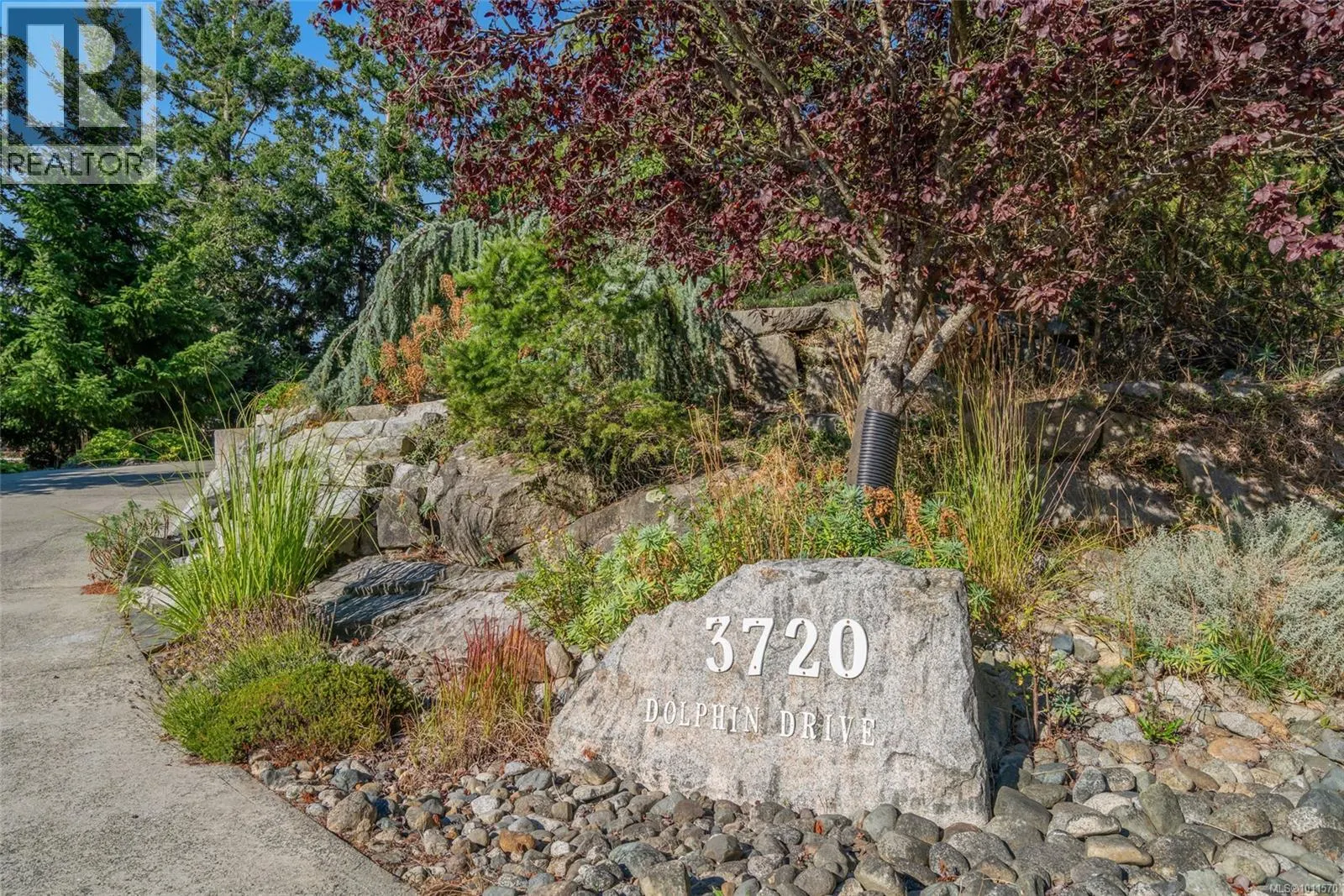 3720 Dolphin Dr