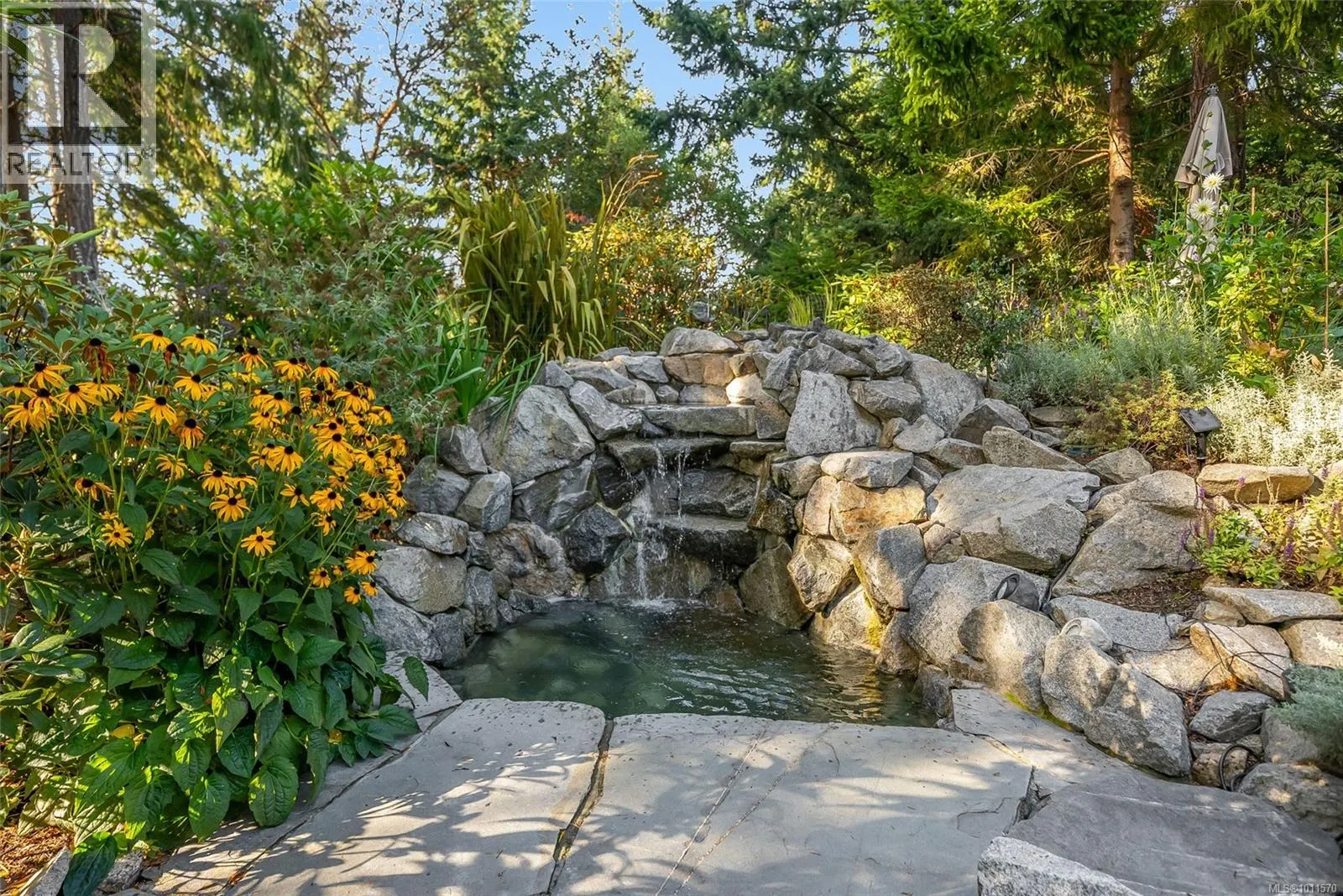 3720 Dolphin Dr
