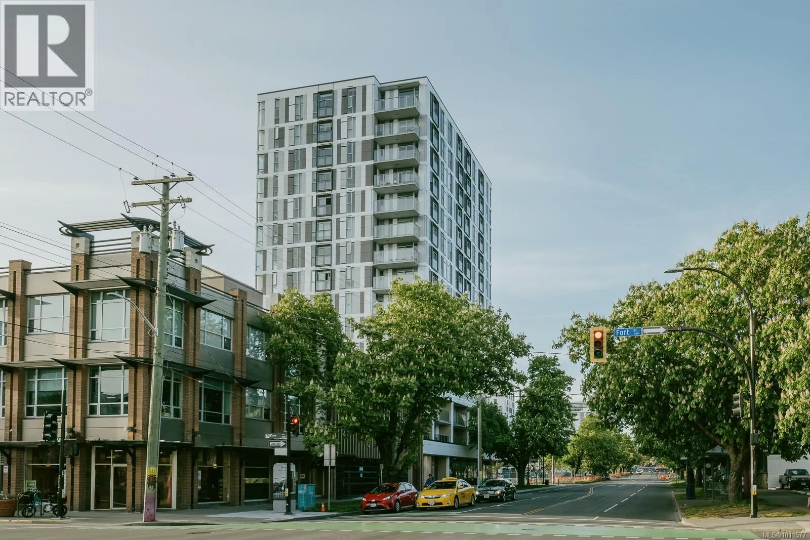 203 1097 View St