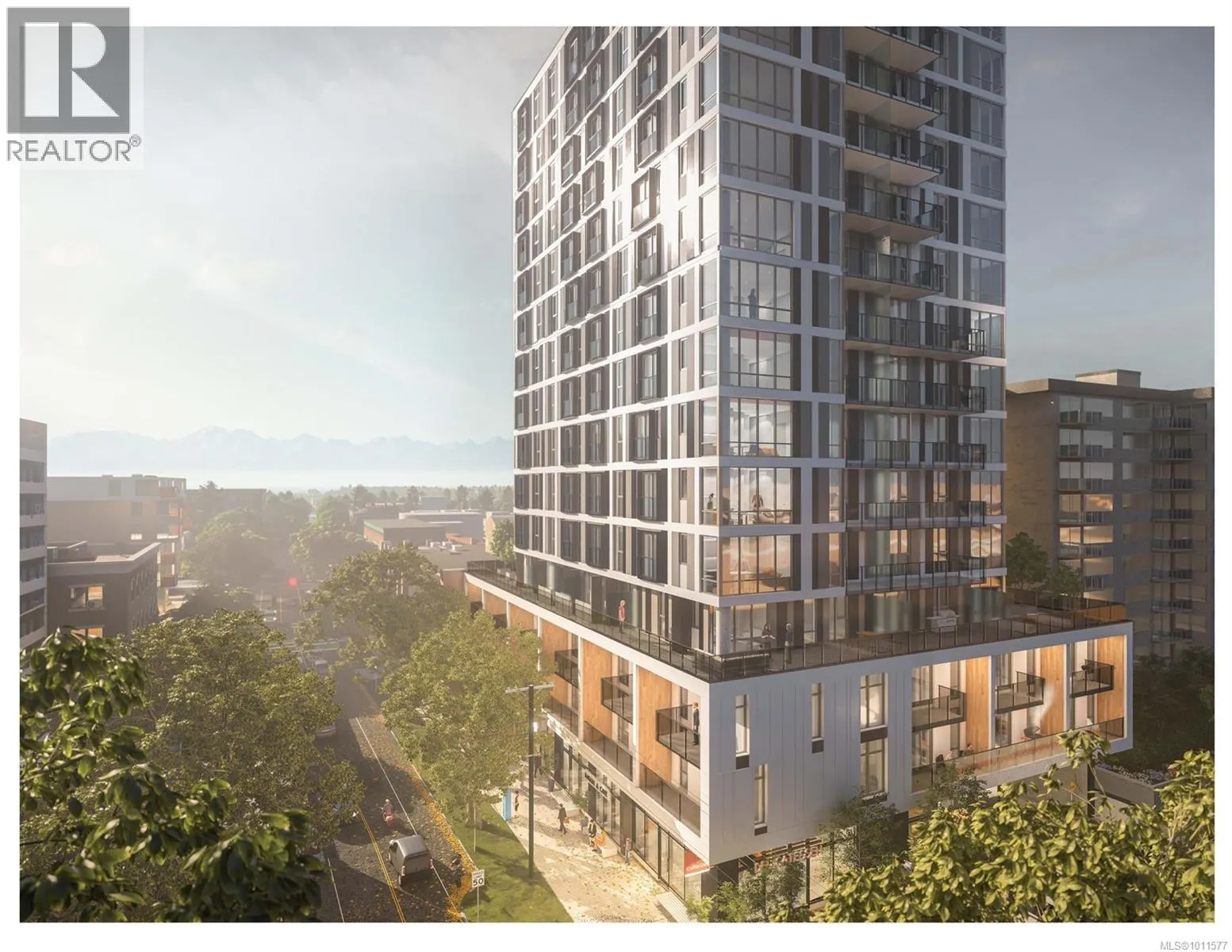203 1097 View St