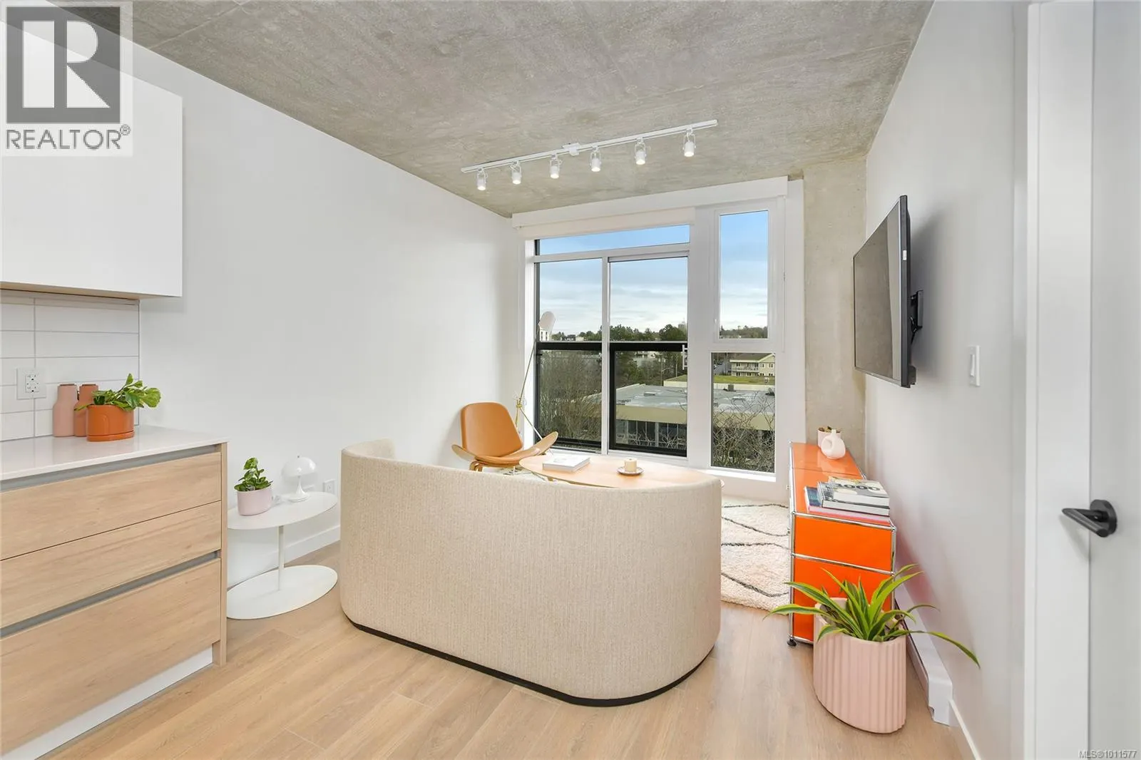 203 1097 View St