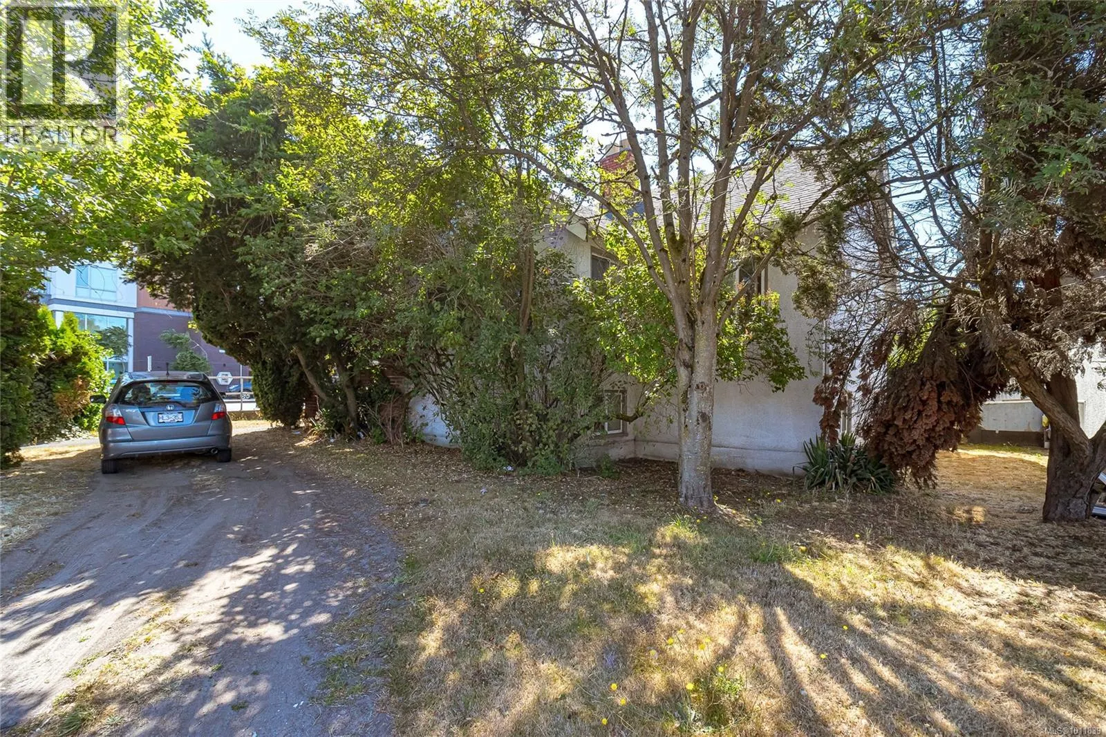 1237 Hillside Ave