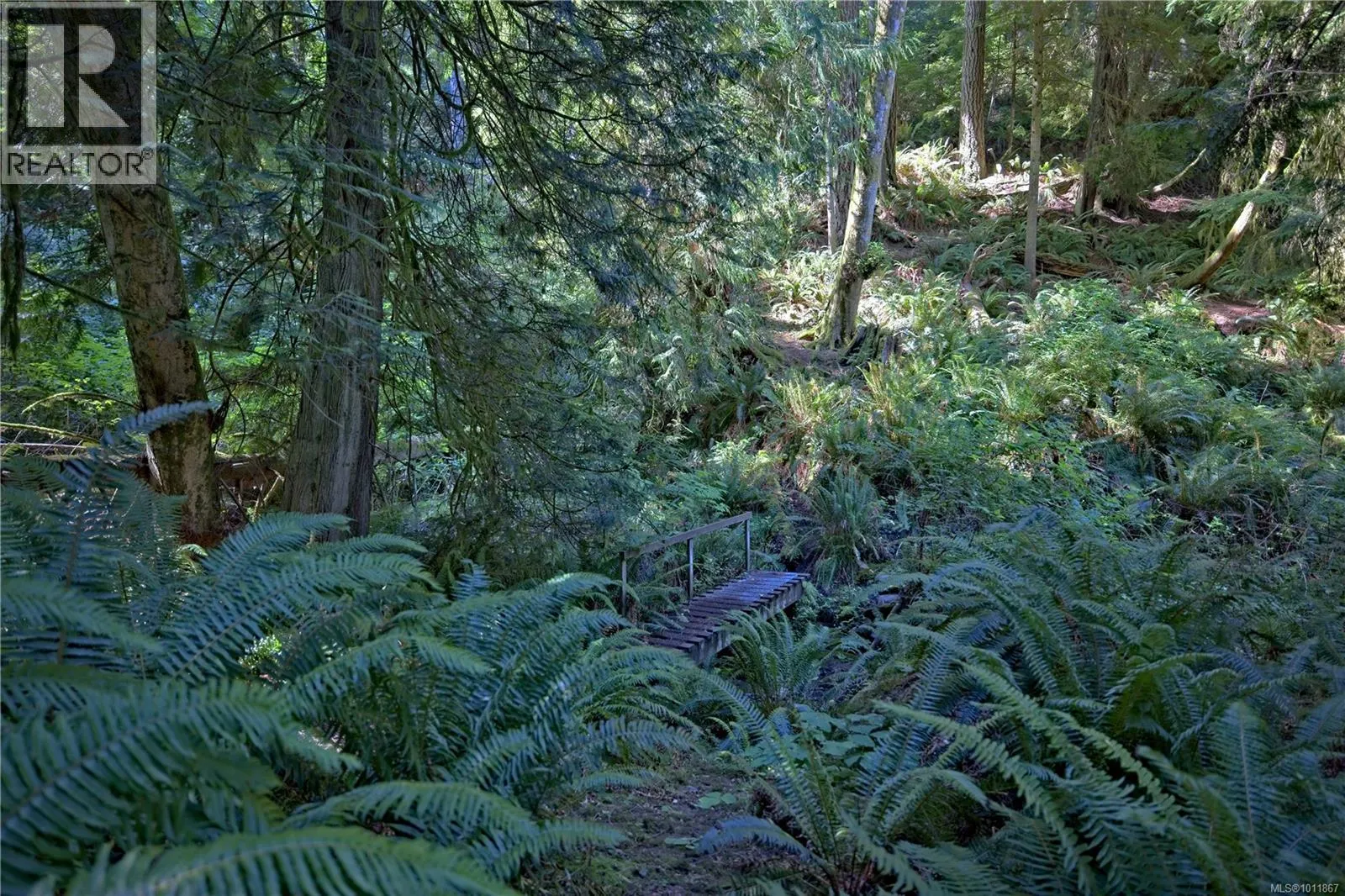 494 Isabella Point Rd