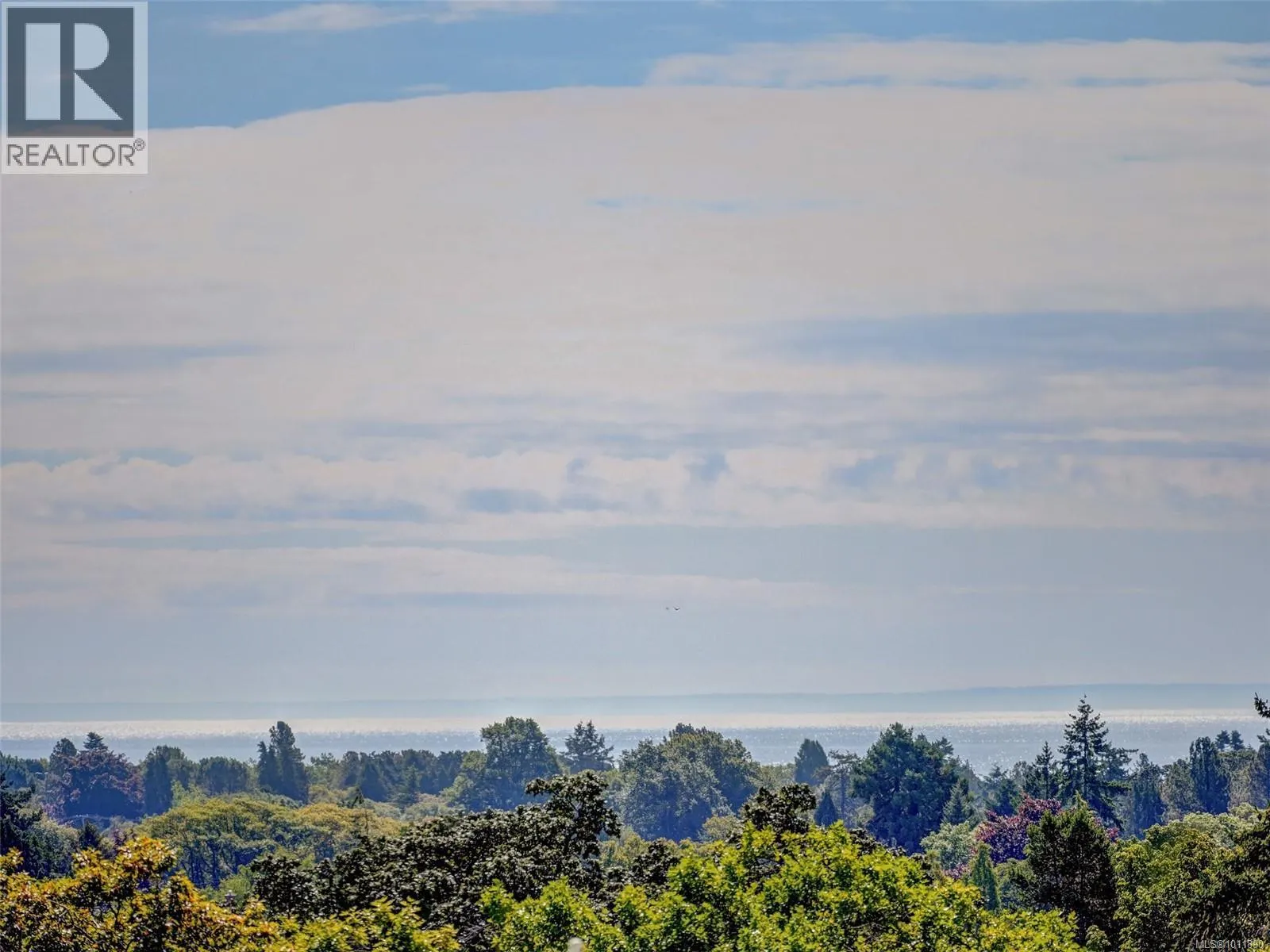 1010 835 View St