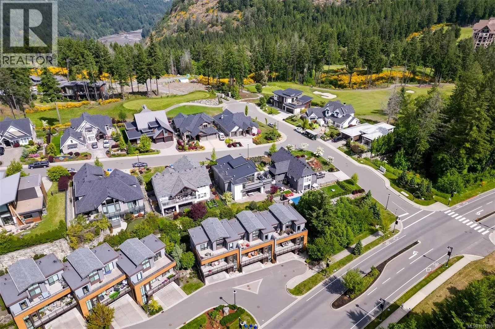 104 1454 Bear Mountain Pkwy
