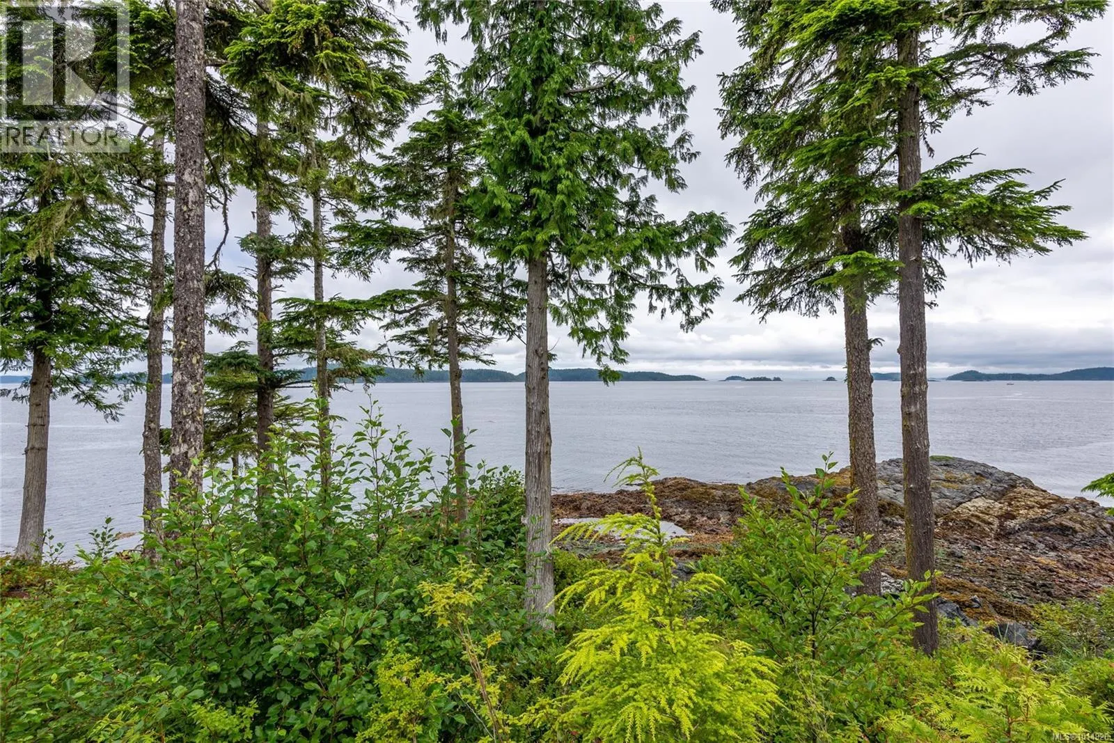 DL2264 Hidden Cove