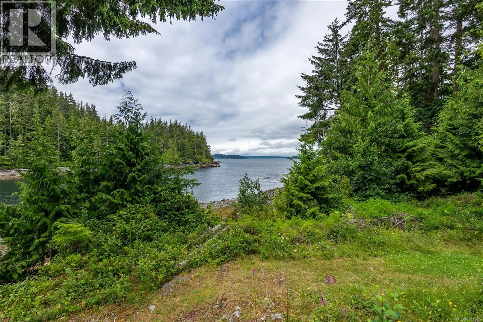 DL2264 Hidden Cove