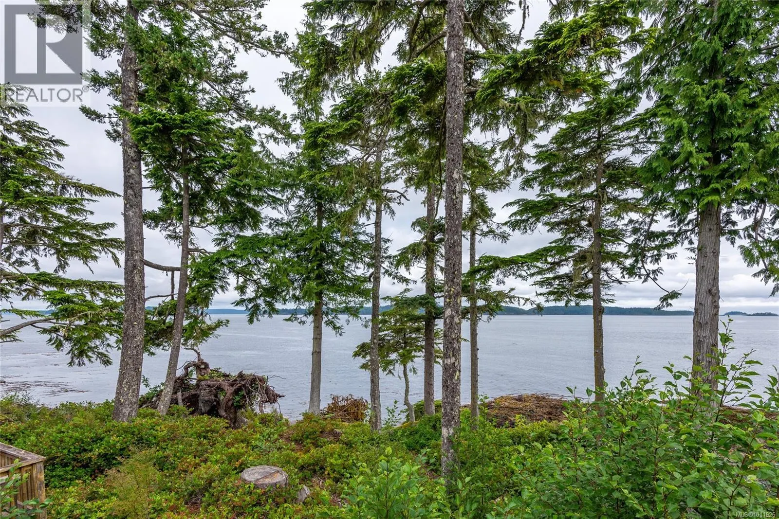 DL2264 Hidden Cove